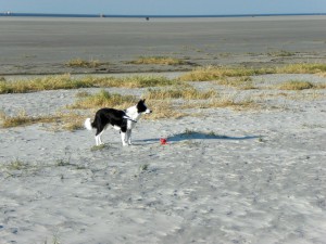 1-ferienwohnung-ufer-st-peter-ording-7