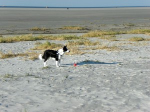 1-ferienwohnung-ufer-st-peter-ording-7